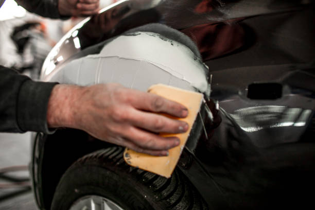 Trusted Albion, MI Mold Removal Experts