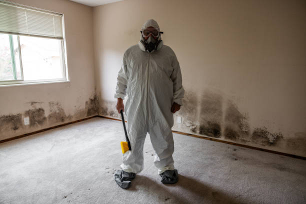 Best Mold Prevention Services  in Albion, MI